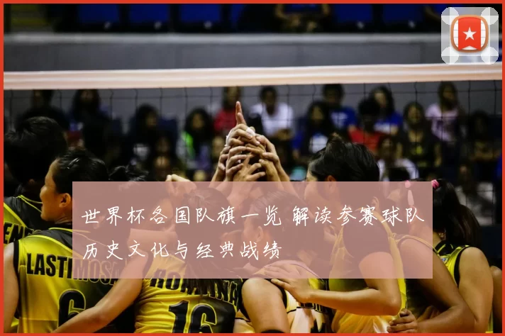 世界杯各国队旗一览 解读参赛球队历史文化与经典战绩